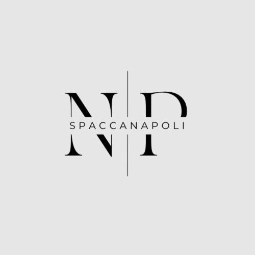 Maison d'hôtes Np Spaccanapoli Naples